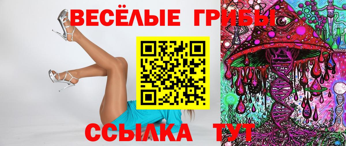Йошкар-Ола  Галлюциногенные грибы прущие грибы  закладка  Вход с VPN 