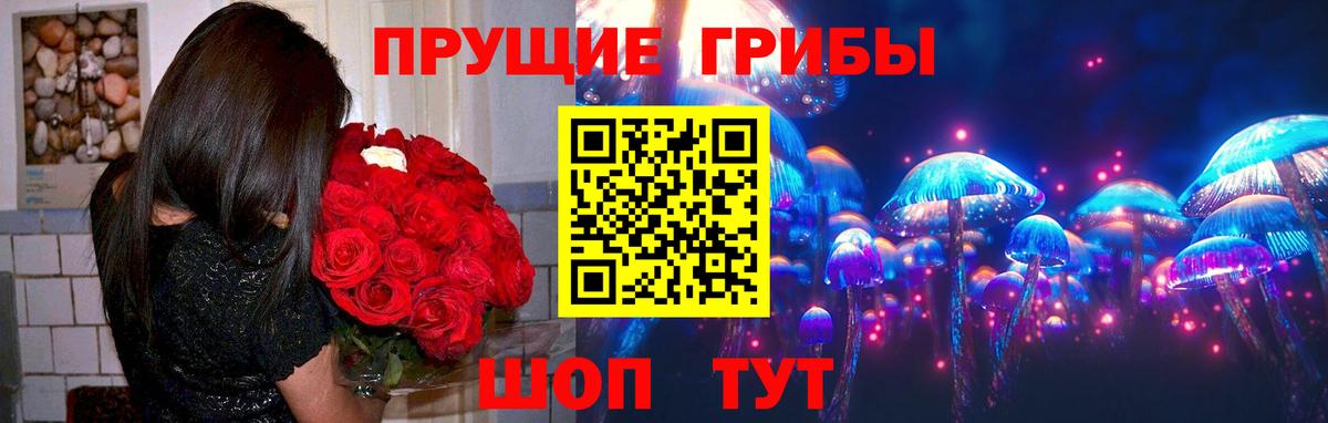 Галлюциногенные грибы GOLDEN TEACHER Йошкар-Ола